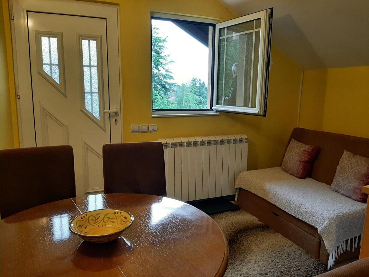Apartments Junior Zlatibor Bagian luar foto